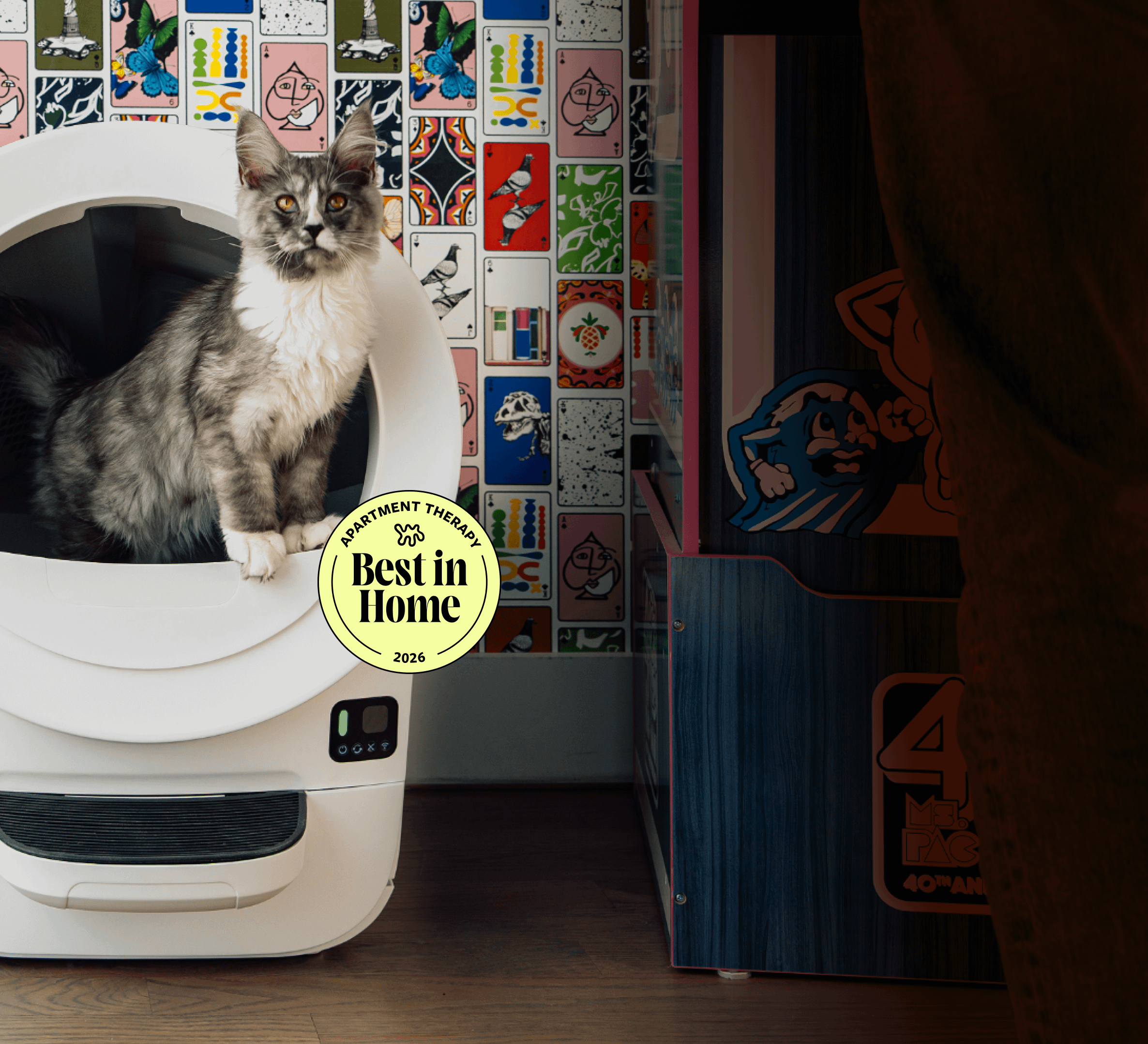 Litter-Robot EVO self cleaning litter box